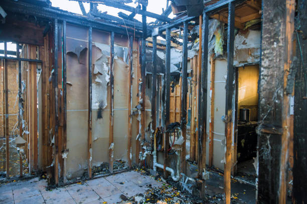 Professional Fire Damage Assessment technician working in Randolph, WI